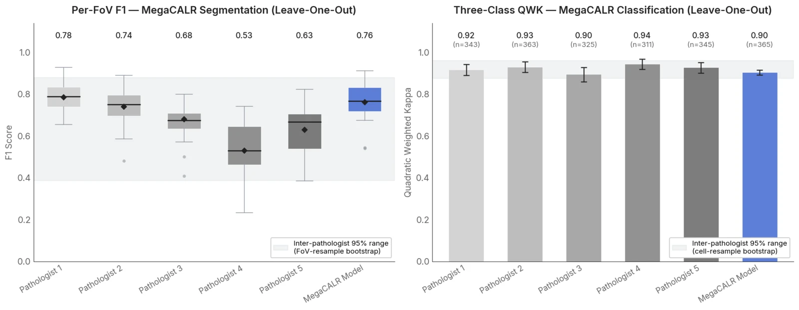 Two charts comparing MegaCALR to each of the five pathologists. Left: per-field-of-view segmentation F1. Right: three-class quadratic weighted kappa for classification. MegaCALR sits within the spread of the pathologists on both.